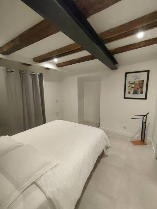 Apartment Capitole Hypercentre Toulouse